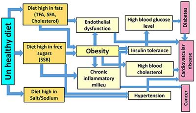 Unhealthy Dietary Habits and Obesity: The Major Risk Factors Beyond Non-Communicable Diseases in the <mark class="highlighted">Eastern Mediterranean Region</mark>